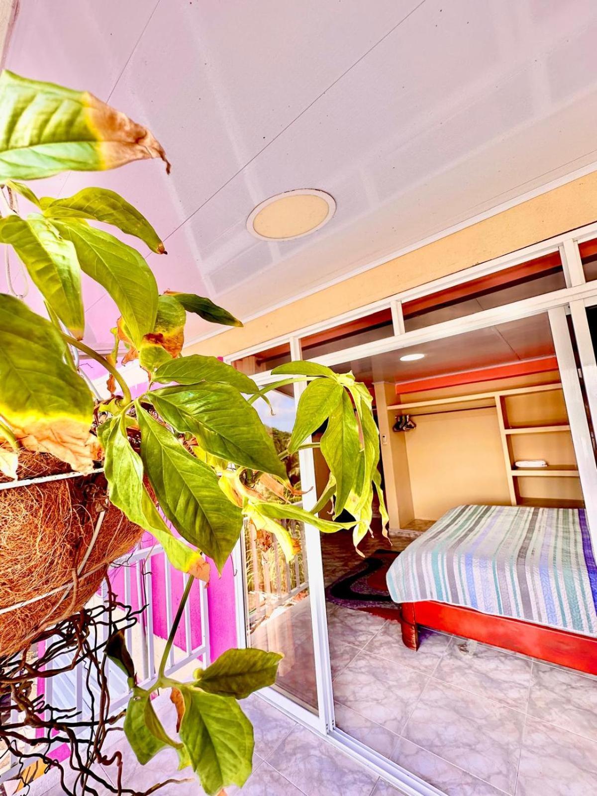 Posada Seven Colours Ocean Providencia (Narino) Exterior foto